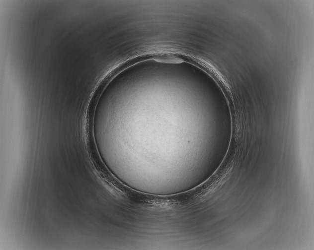 X0000116320439200912091022