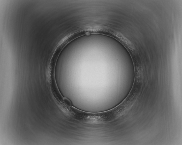 X0000116320440200912091022