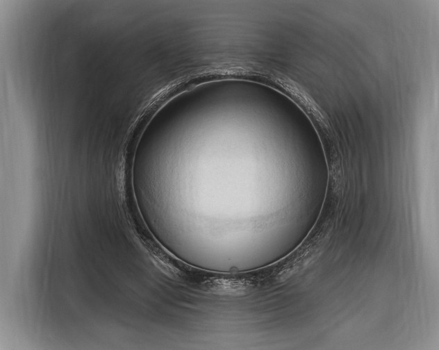 X0000116320442200912091022