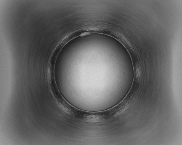 X0000116320444200912091022