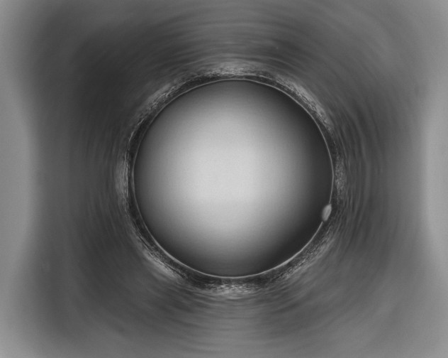 X0000116320445200912091022