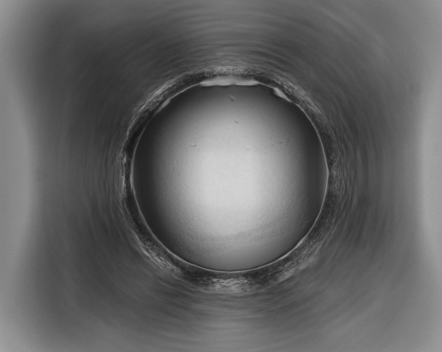 X0000116320446200912091022