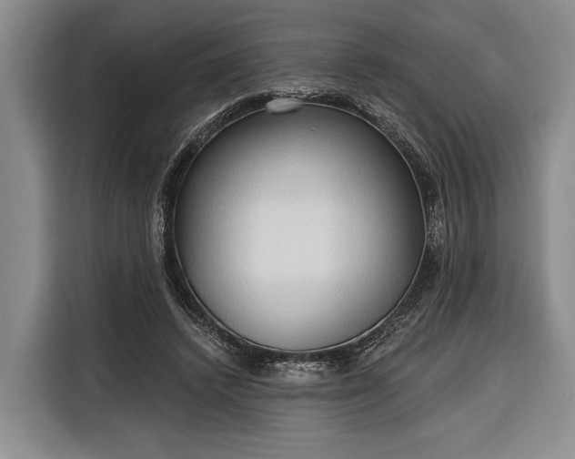 X0000116320448200912091022