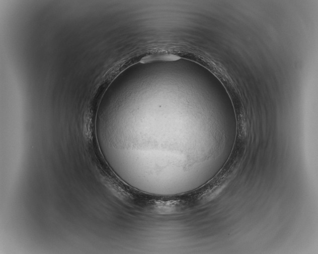 X0000116320450200912091022