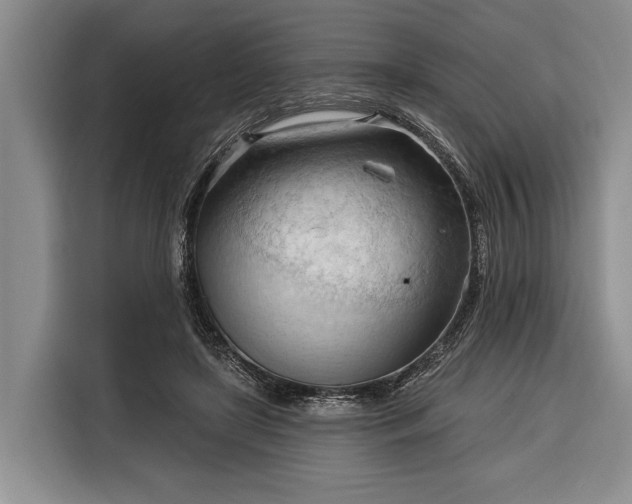 X0000116320451200912091022