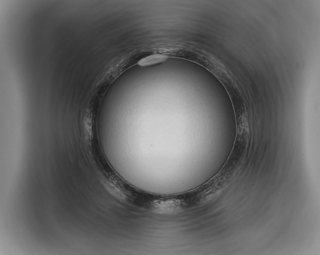 X0000116320452200912091022