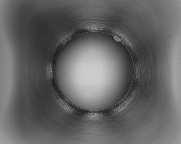 X0000116320453200912091022