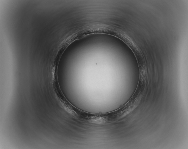 X0000116320454200912091022