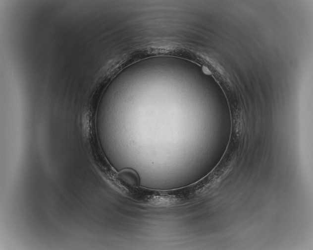 X0000116320455200912091022