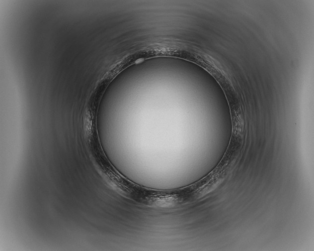 X0000116320456200912091022