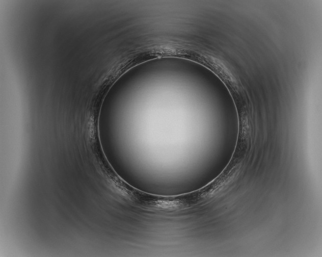 X0000116320457200912091022