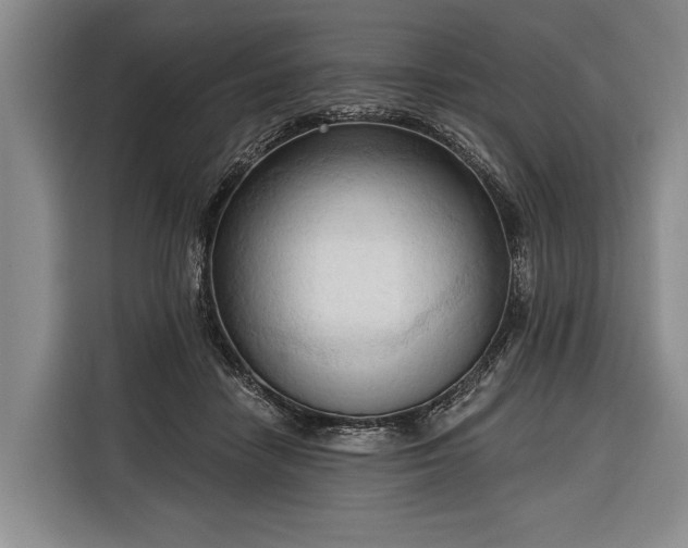 X0000116320458200912091022