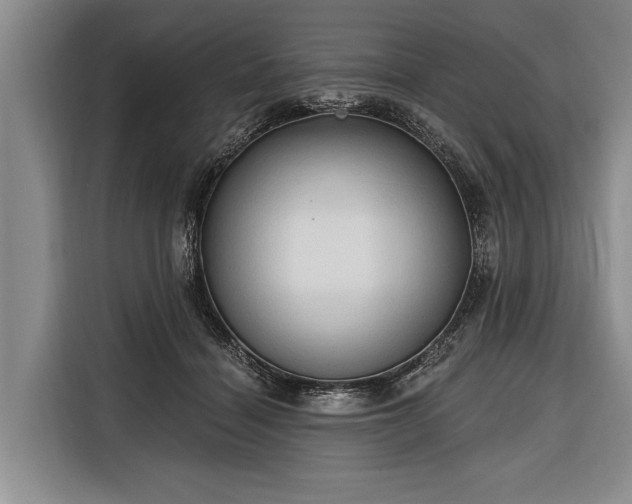 X0000116320460200912091022