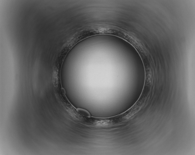 X0000116320461200912091022