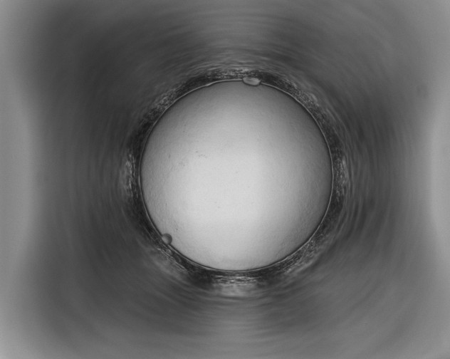 X0000116320463200912091023