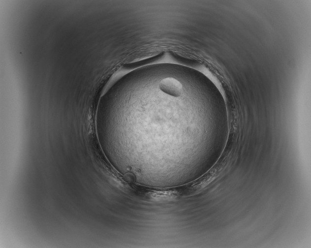 X0000116320465200912091023