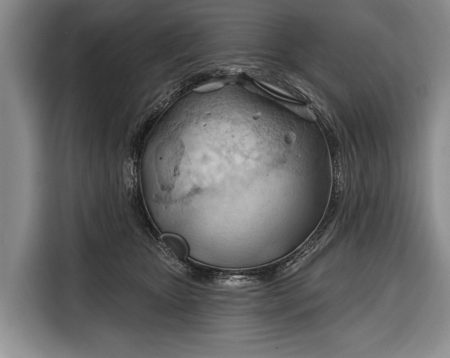 X0000116320467200912091023