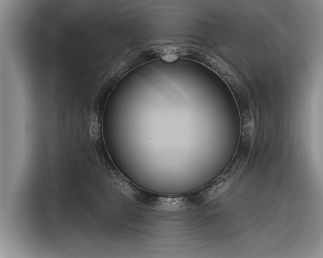 X0000116320469200912091023