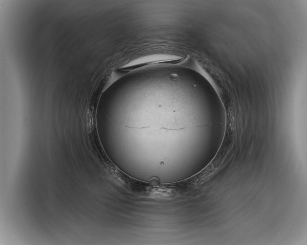 X0000116320471200912091023