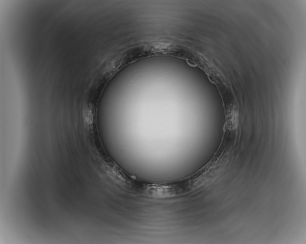 X0000116320472200912091023