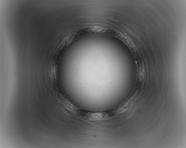 X0000116320473200912091023