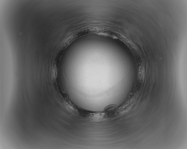 X0000116320474200912091023