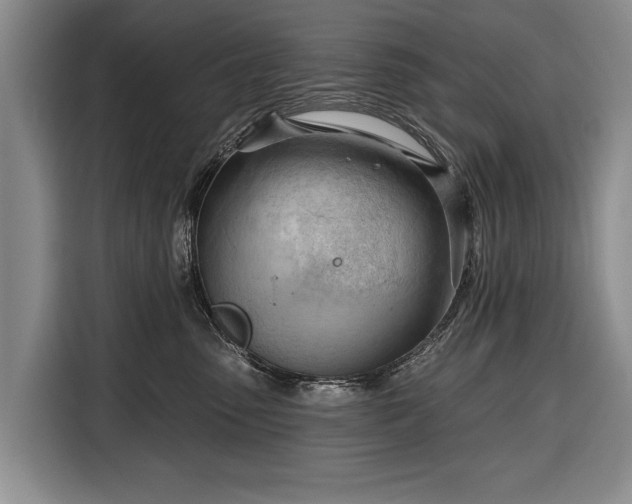 X0000116320475200912091023