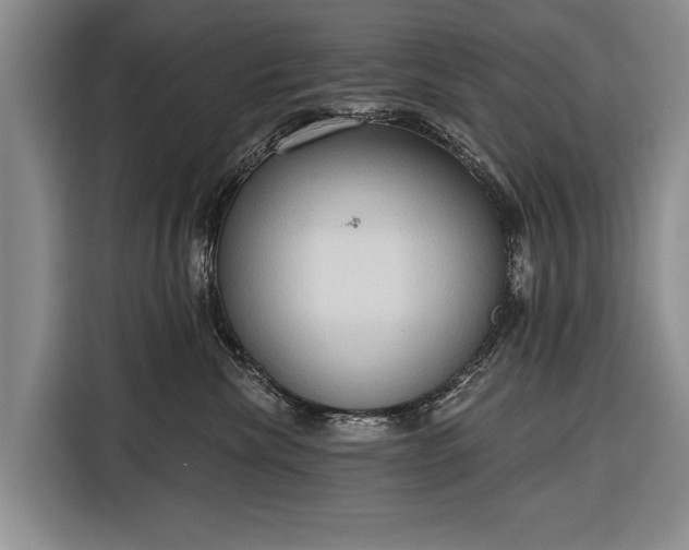 X0000116320476200912091023