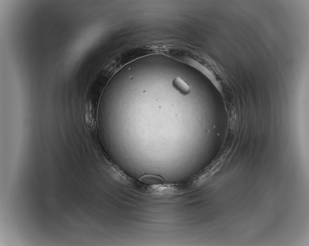 X0000116320477200912091023