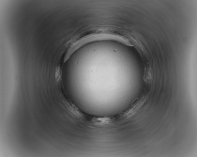 X0000116320478200912091023