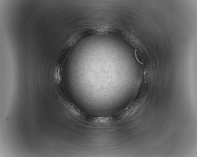 X0000116320479200912091023