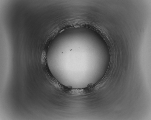 X0000116320480200912091023