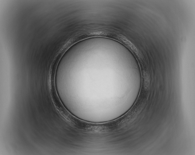 X0000116320482200912091022