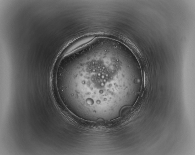 X0000116320483200912091022