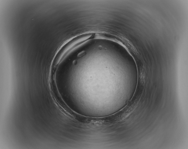 X0000116320484200912091022