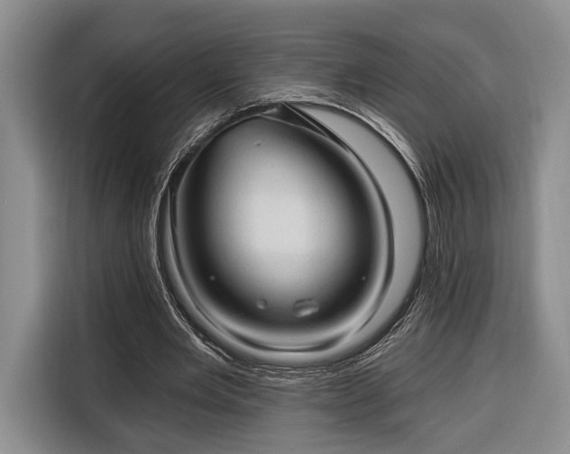 X0000116320485200912091022