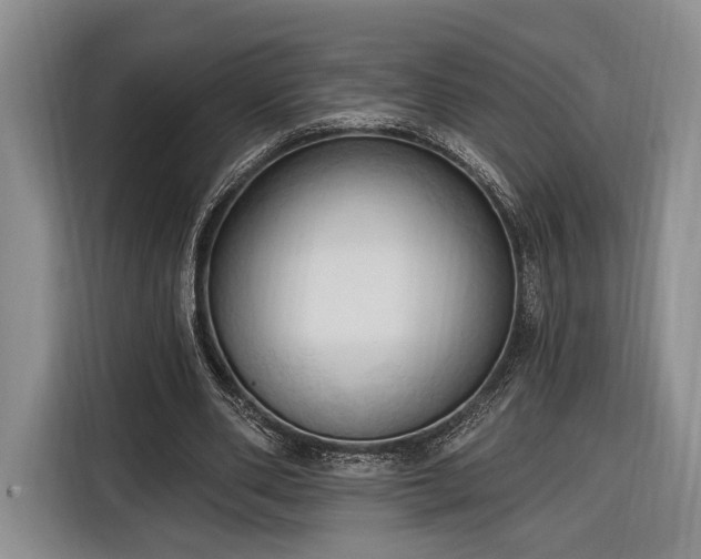 X0000116320486200912091022