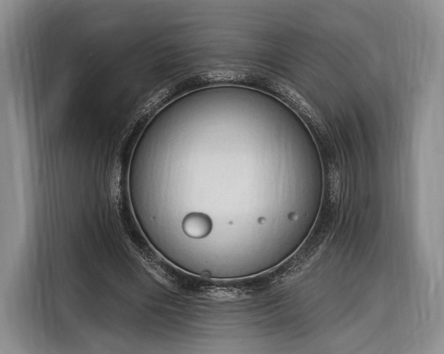 X0000116320490200912091022