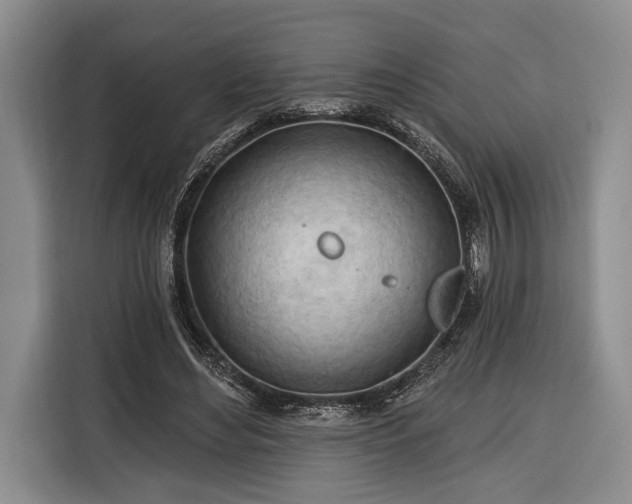 X0000116320492200912091022