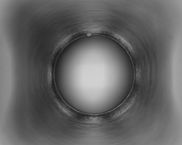 X0000116320493200912091022