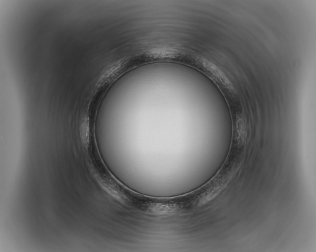 X0000116320494200912091022