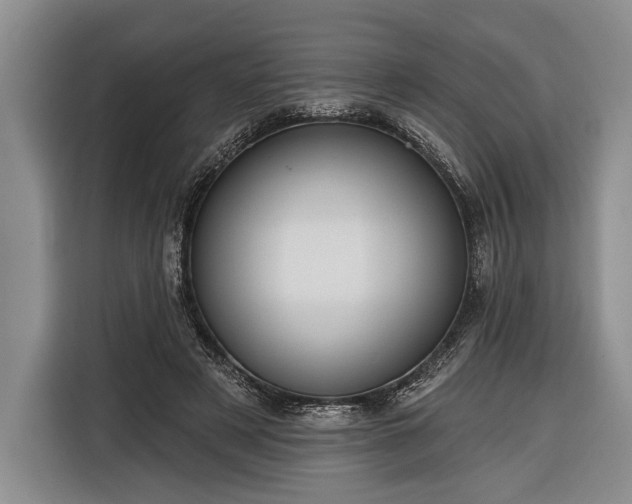 X0000116320497200912091022