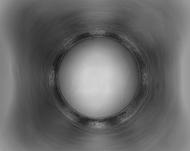 X0000116320498200912091022