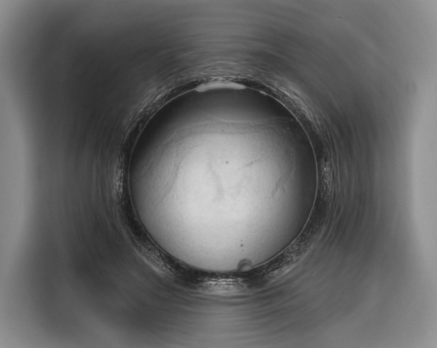 X0000116320499200912091022