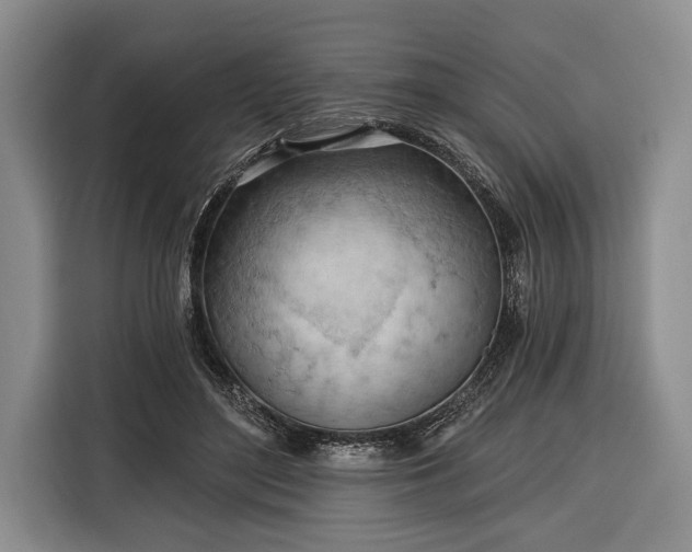 X0000116320500200912091022