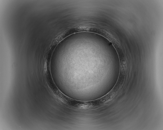 X0000116320504200912091022