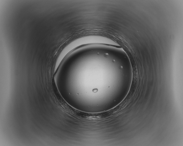 X0000116320508200912091022