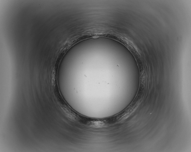 X0000116320509200912091022