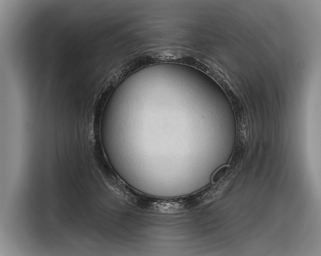 X0000116320512200912091022