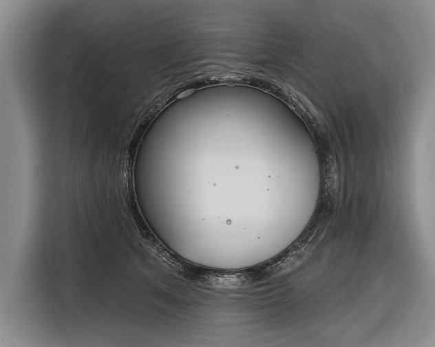 X0000116320513200912091022